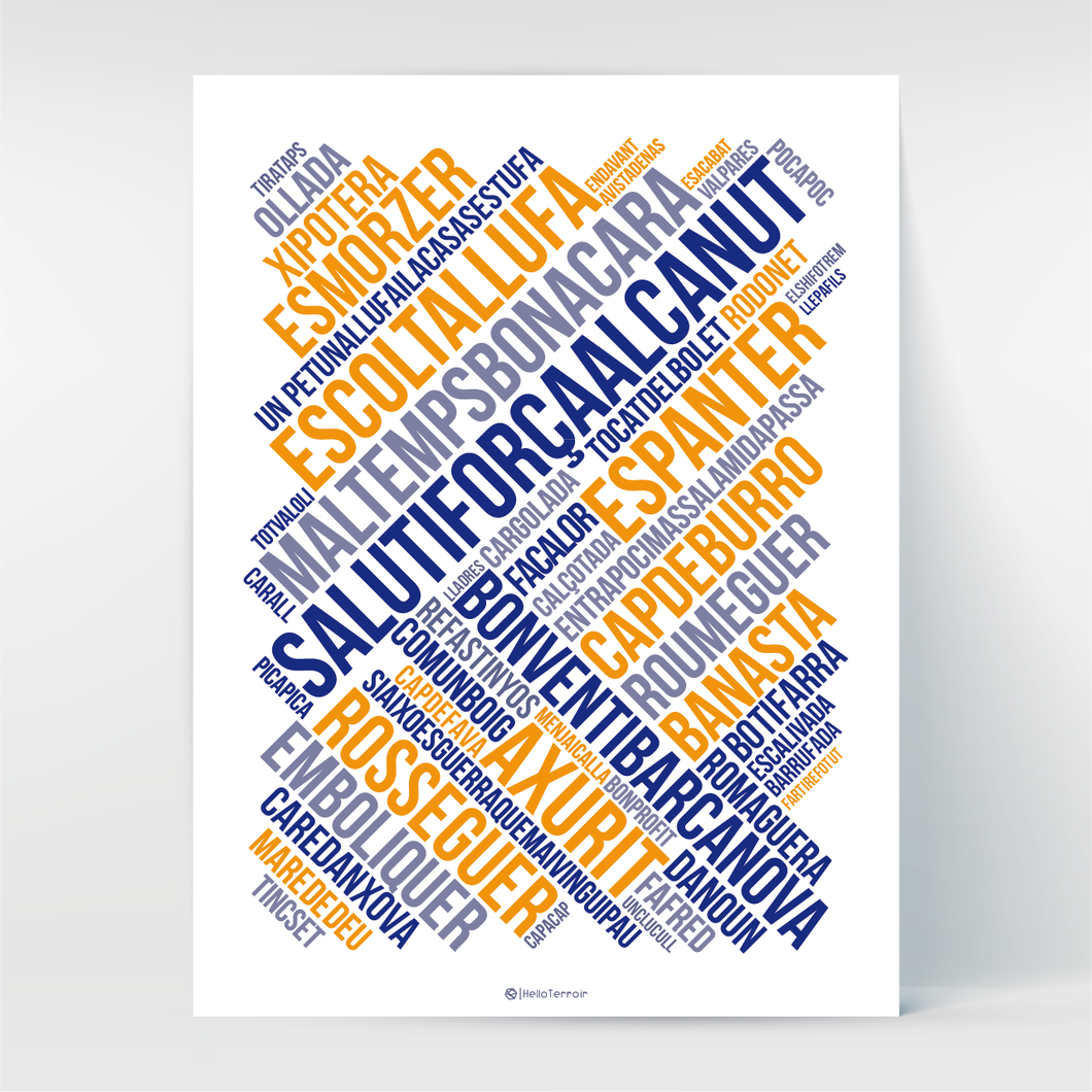 Affiche Poster Hello Terroir expressions catalanes style graphique bleus et orange